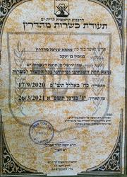 תמונות מאמא שניצל
