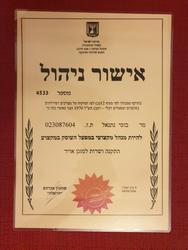 נתי סטרט אלטרנתי לוגו