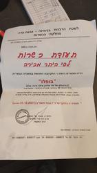 ביפלו