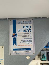 תמונה של סלולר MY