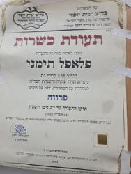 פלאפל תימני אסלי לוגו