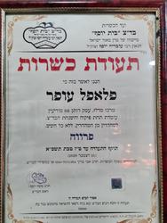 פלאפל עופר מודיעין לוגו
