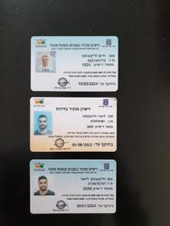 תמונות אילנית הדברות