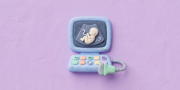 Pregnancy Scans