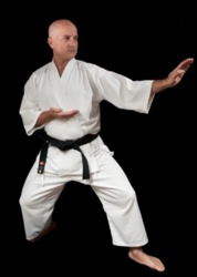 Karate Way Taught By Ofer Bar Logo