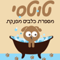טוטסי בהנהלת רינת לוגו