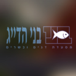 בני הדייג