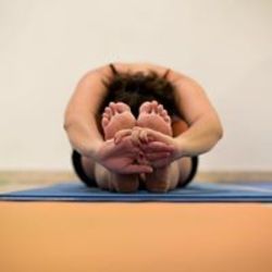 Yogagiv Logo