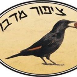 desert bird לוגו