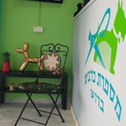 ברוש מספרת כלבים וחתולים לוגו