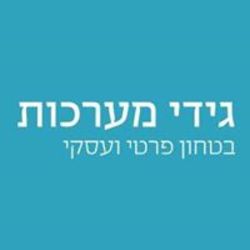 גידי מערכות לוגו