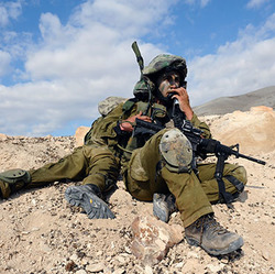 עו"ד רונן לפיד לוגו