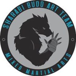 Budo Art Team Bjj & Mma Logo
