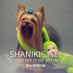 Shanikistyle לוגו