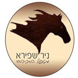 Nir Shapira Logo