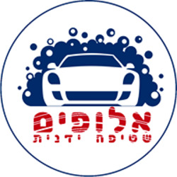 אלופים שטיפה ידנית לוגו