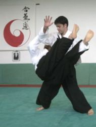 Aikido Tel Aviv Logo
