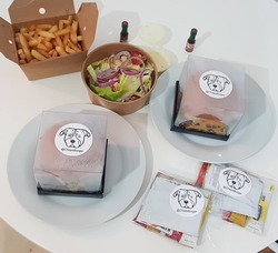 תמונות צ'אפובורגר