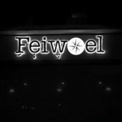 Feiwel לוגו