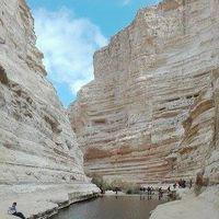 ورد الصحراء شعار