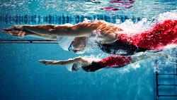 Speedo Logo