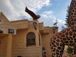 House of Art شعار