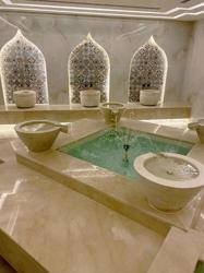 Dead Sea Spa Hotel شعار