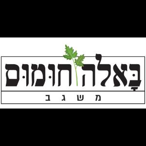 באלה חומוס