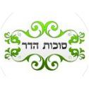 סוכות הדר לוגו