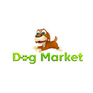 types of dog leashes for training