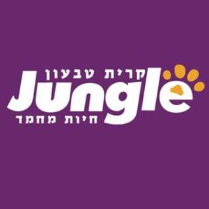 ג'ונגל