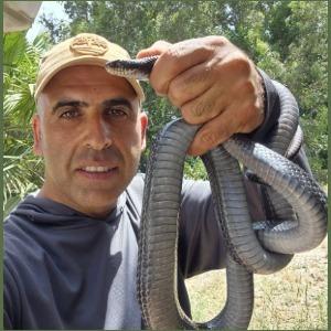 עולם החי של אדיר לוגו