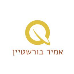 אמיר מחשבים לוגו