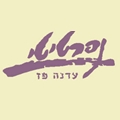 Nefertiti Logo