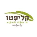 קליפטו לוגו
