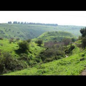 הר תבור - שבלי - גן לאומי | איזי