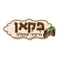 פקאן גרעיני עפולה