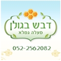 Dvash Bagolan Logo