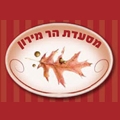הר מירון
