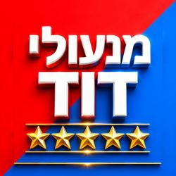 מנעולי דוד לבית ולרכב לוגו