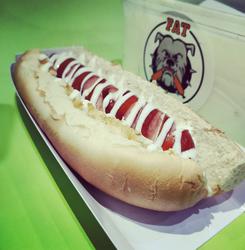 תמונות FAT DOG
