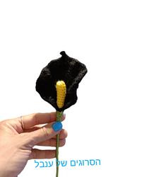 Photo of Inbal's corchted
