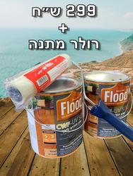 א א מונטיפיורי לוגו