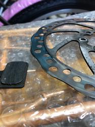 דודי בייק לוגו