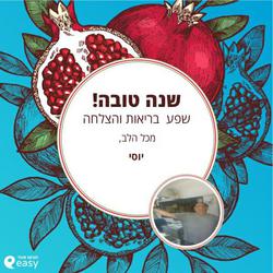 תמונות יוסי
