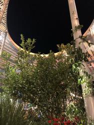 תמונות קפה גן סיפור