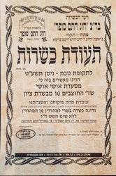תמונות אושי אושי