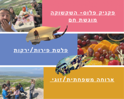 תמונות C RZR סי רייזר