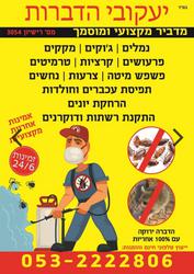 יעקובי הדברות