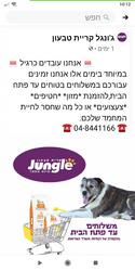 תמונות ג'ונגל
